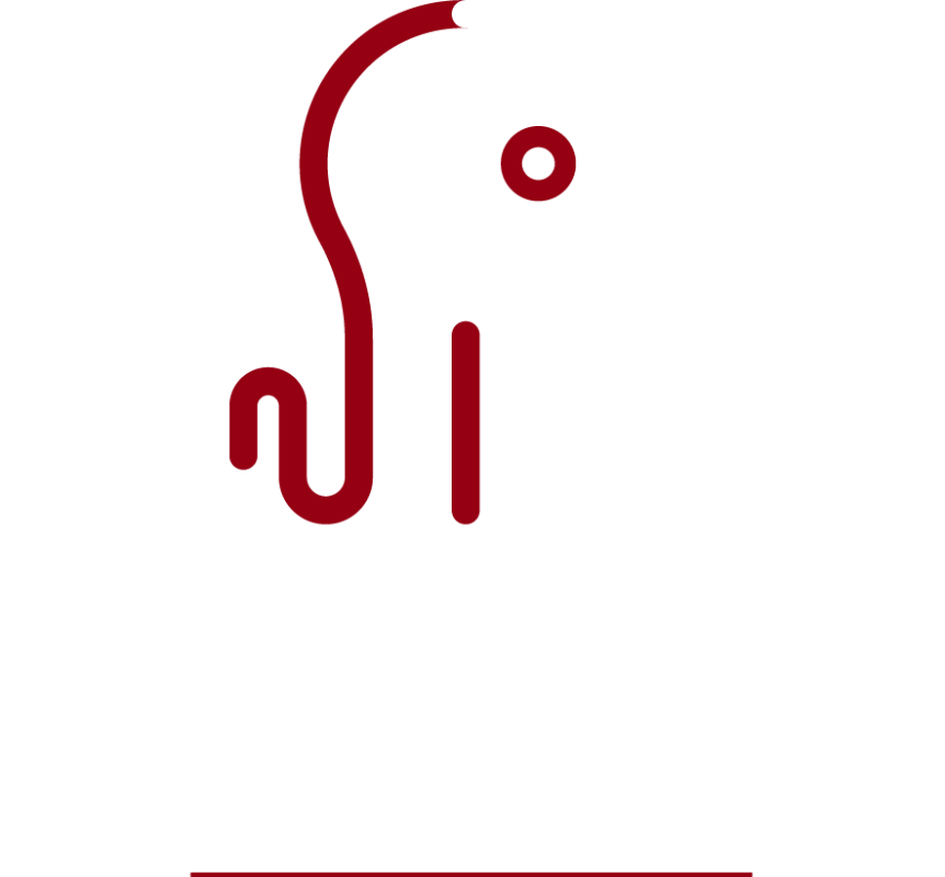 Kreaken Studio